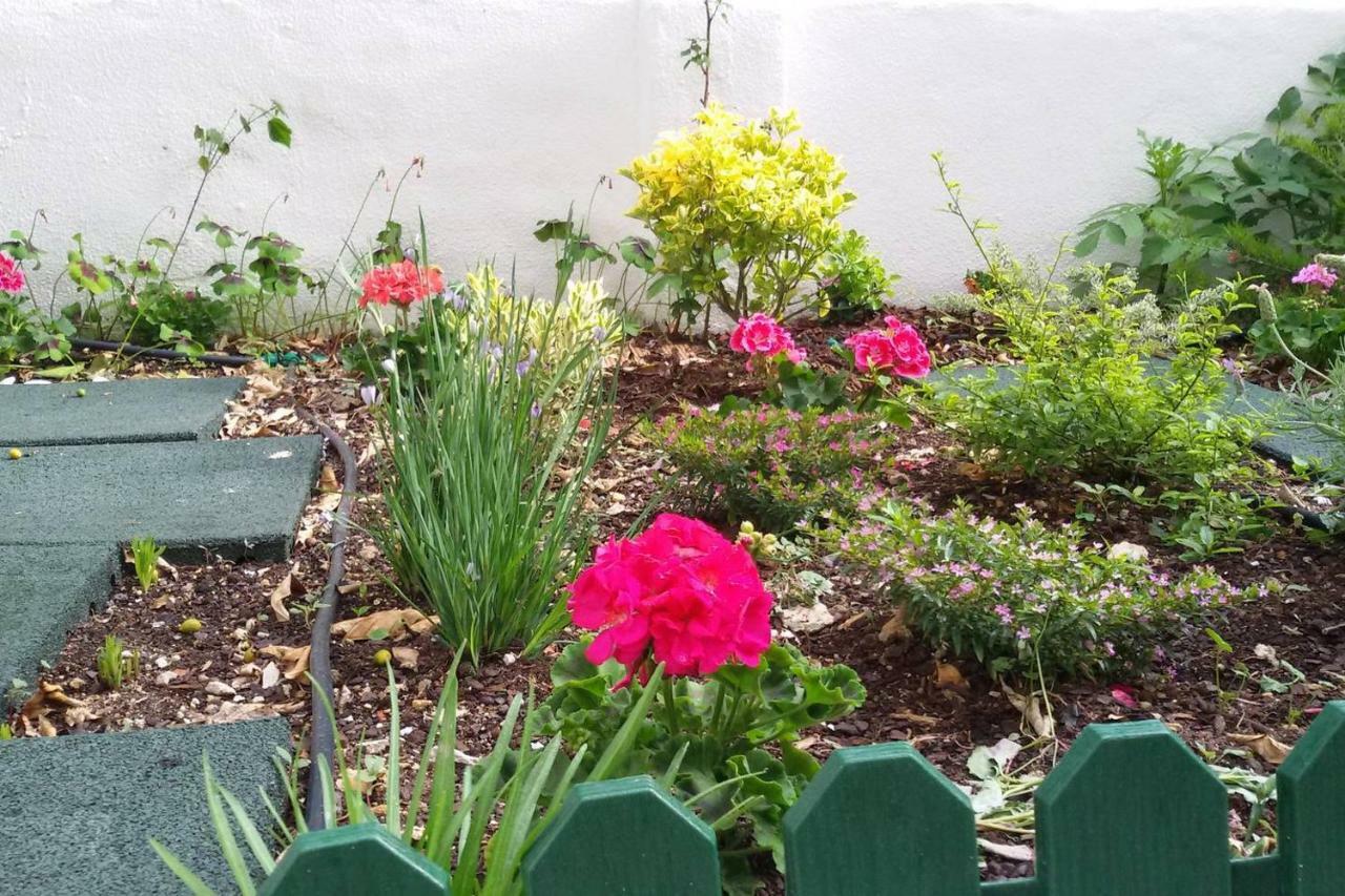Sunny Orange Garden Apartment In Central 리스본 외부 사진