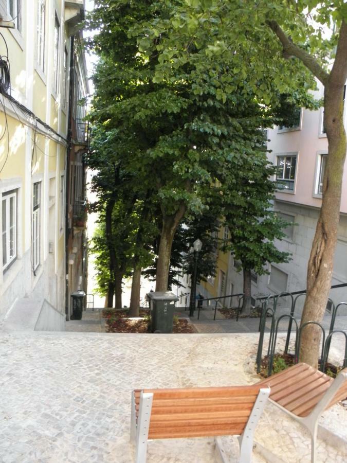 Sunny Orange Garden Apartment In Central 리스본 외부 사진