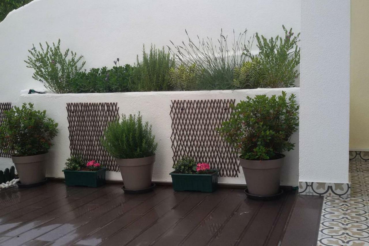 Sunny Orange Garden Apartment In Central 리스본 외부 사진