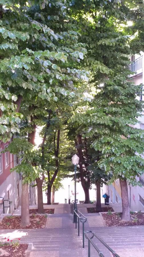 Sunny Orange Garden Apartment In Central 리스본 외부 사진