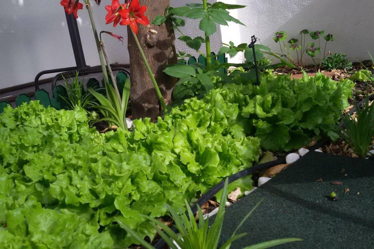 Sunny Orange Garden Apartment In Central 리스본 외부 사진